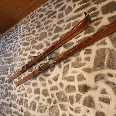 Centrale 酒店 上福尔尼