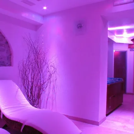 酒店 Centrale 上福尔尼